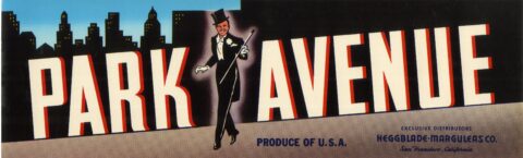 Park Avenue